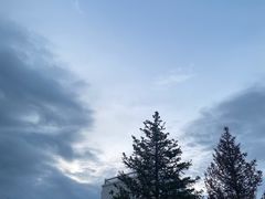 -仙人掌足疗养生馆(北京路至尊店)