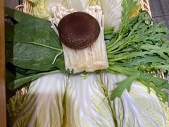 -友乐居羊蝎子(西直门店)