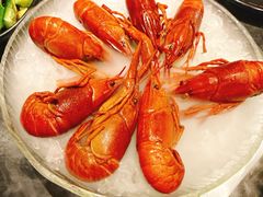 -红盔甲·小龙虾(崂山路店)