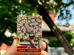 -北京艺术博物馆(万寿寺)