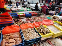 -芦潮港集贸市场