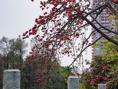 -东山湖公园
