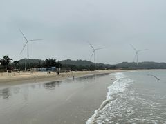 -汕尾风车岛