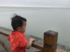 -碧海金沙