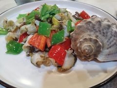 白爆海螺-渔娘渔家丹东海鲜(东直门店)