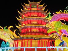 -武汉园博园(武汉自然博物馆)