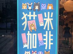 -飞行喵MR PILOT|猫舍·猫咖(静安大融城店)