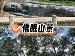 -三水森林公园