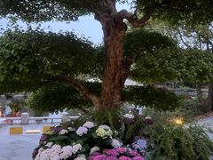 -扬州迎宾馆(11号楼)