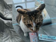 -雷鹰射击俱乐部