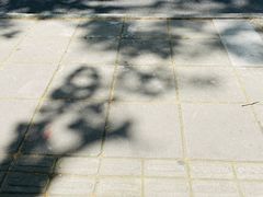 -牧羊餐厅