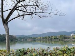 景点-慈城古县城景区