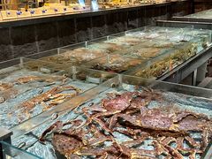 -巨鹏飞梦幻海岸