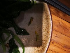 -77号渔船·蒸海鲜青岛菜(积米崖店)