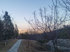-北京鹫峰国家森林公园
