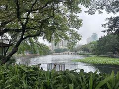 -荔湾湖公园