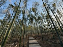 -池州市平天湖风景区