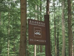 -日照海滨国家森林公园