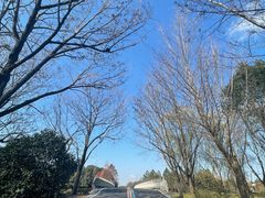 -同里国家湿地公园