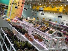 -KKV(天津津南吾悦广场店)