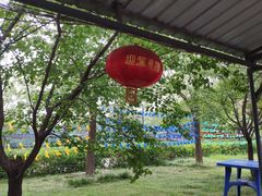 -北京上庄水库尚野露天户外自助烧烤