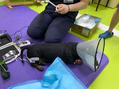 -美联众合动物医院·24h转诊中心