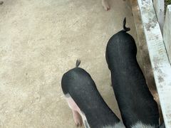 -湖南湘都生态农业园