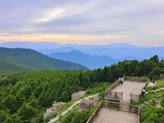 -白草畔自然风景区