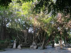 -船政文化景区-罗星塔公园