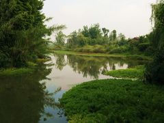 -桤木河湿地公园