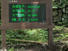 -天目山大树王景区