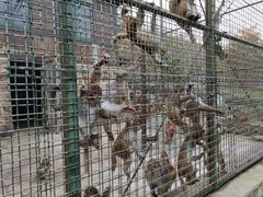 -南京金牛湖风景区