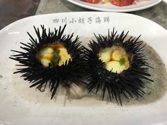 海胆蒸蛋-四川小胡子海鲜(丁村万人海鲜广场店)