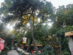 -白家大院·王府宫廷菜(苏州街店)