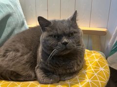 -Rabbit Cafe私房西餐甜点咖啡(栖霞路店)