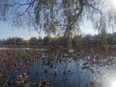 -长春市南湖公园