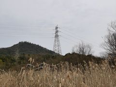 -西湖风景区-江洋畈生态公园