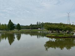 -佛手湖郊野公园
