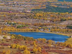 -塞罕坝国家级自然保护区