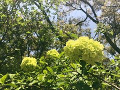 -上海市龙华烈士陵园