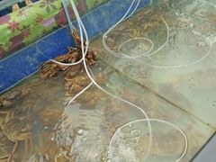 -滆湖低碳生态公园