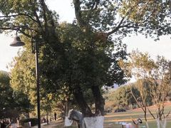 -雨花胜境
