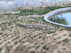 -鄂尔多斯野生动物园