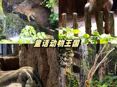 -长鹿旅游休博园