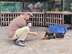 -史努比缤纷世界