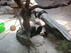 -宁波野生动物园