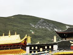 -塔公寺