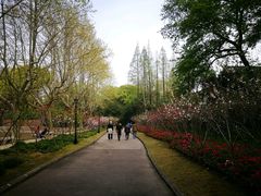 -上海市龙华烈士陵园