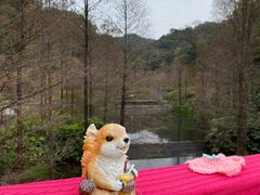 -云溪植物园