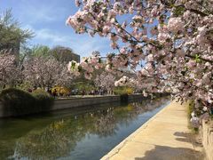 -海棠花溪(元大都城垣遗址公园)